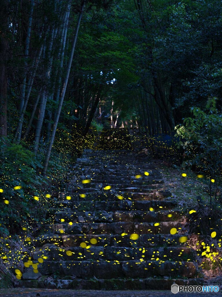 参道
