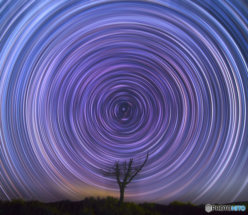 枯れ木に星を・・・Ⅱ