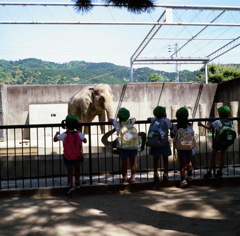 ２０１３．５　京都市動物園