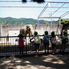 ２０１３．５　京都市動物園