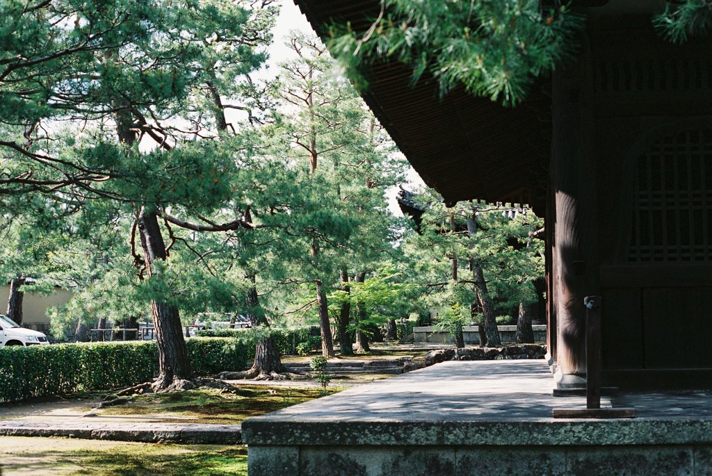 ２０１３　大徳寺