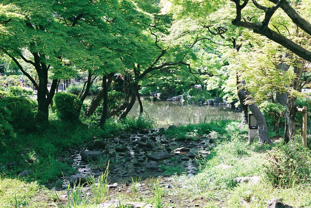 ２０１３．５　京都