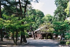 ２０１３　今宮神社