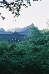 ２０１３．５　東福寺