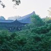２０１３．５　東福寺