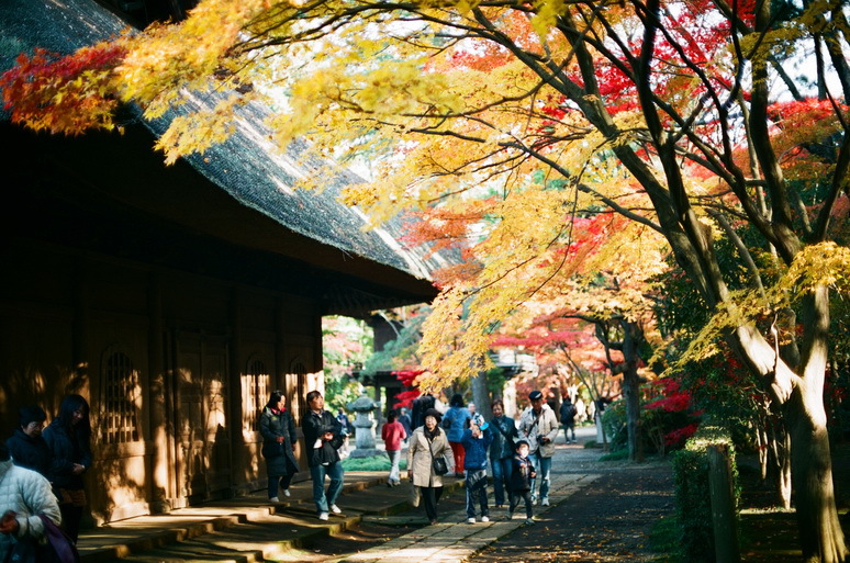 ２０１２　平林寺