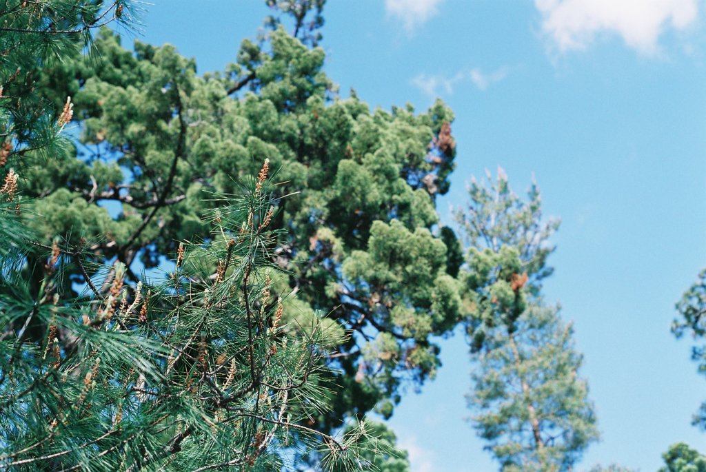 ２０１３　大徳寺