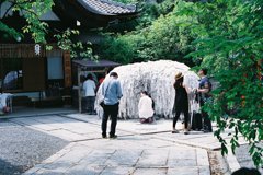 ２０１３　京都　安井神社
