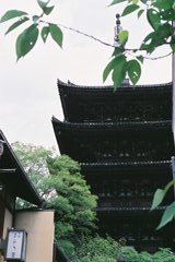 ２０１３　京都八坂