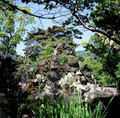 ２０１３．５　京都市動物園