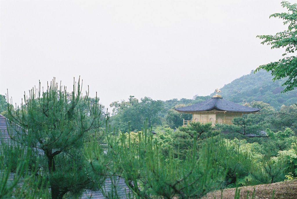 ２０１３　金閣寺