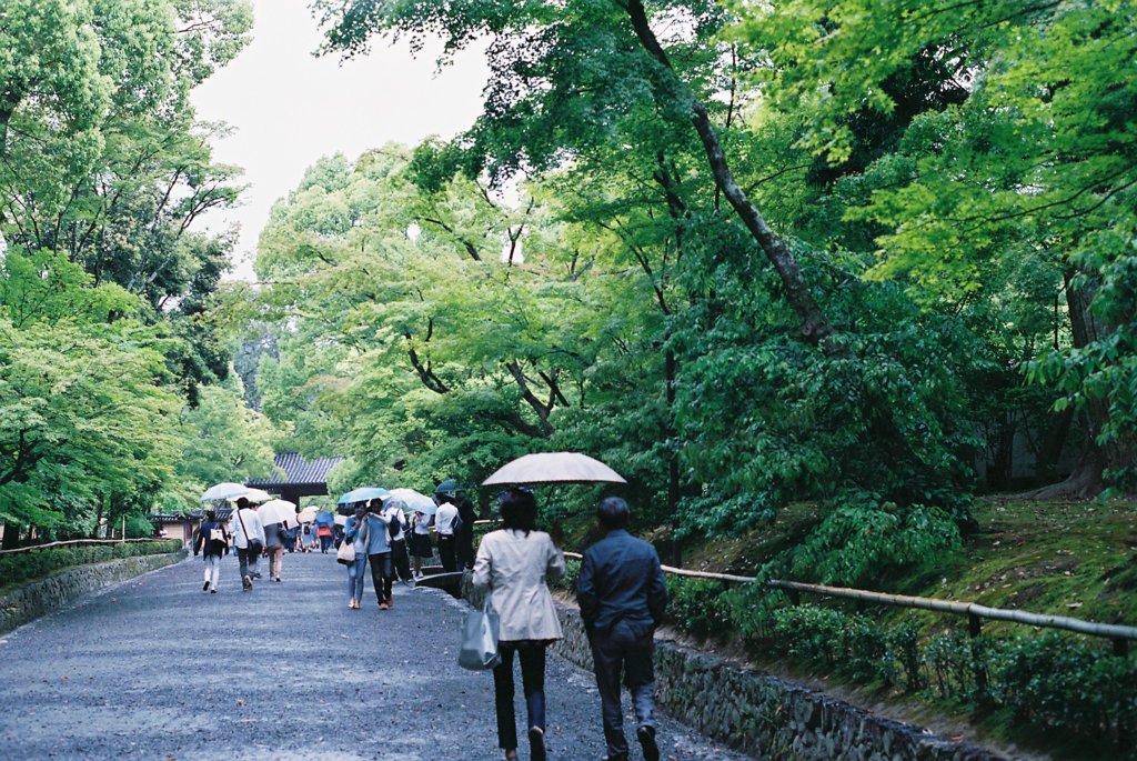 ２０１３　金閣寺