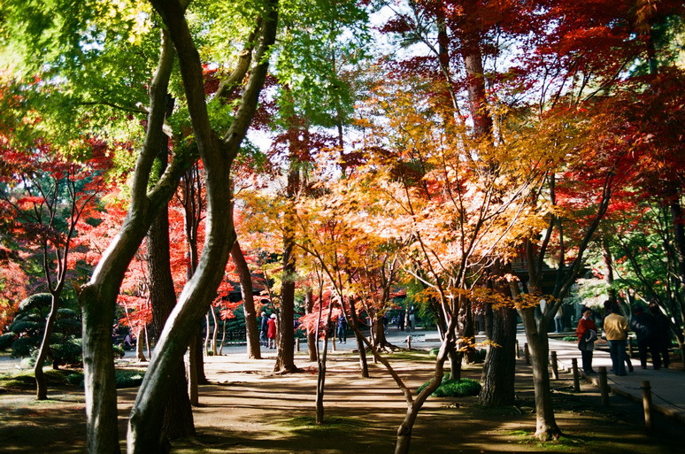 ２０１２　平林寺