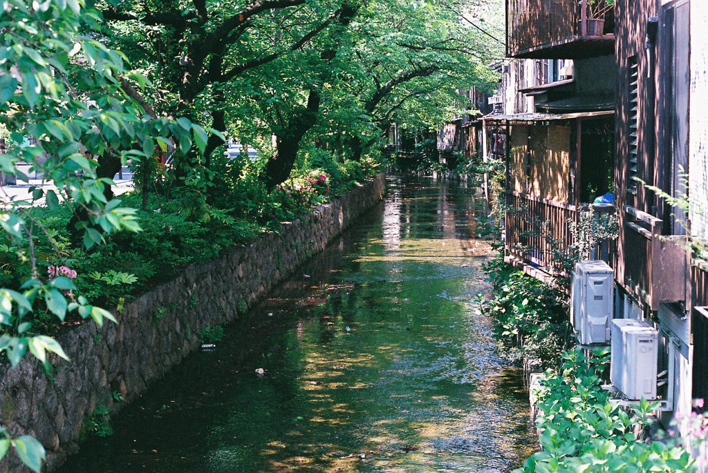 ２０１３．５　京都