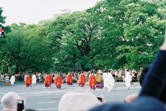 ２０１３　葵祭