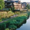 ２０１３．５　東福寺