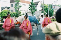 ２０１３　葵祭