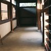 ２０１３．５　東福寺