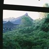 ２０１３．５　東福寺