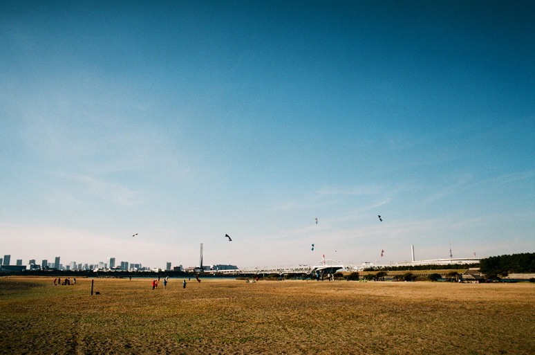 ２０１２　葛西臨海公園