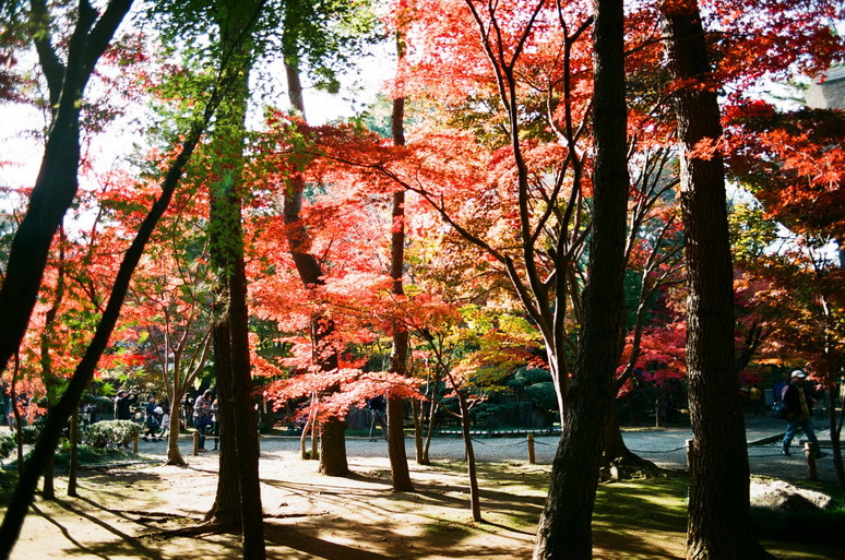 ２０１２　平林寺