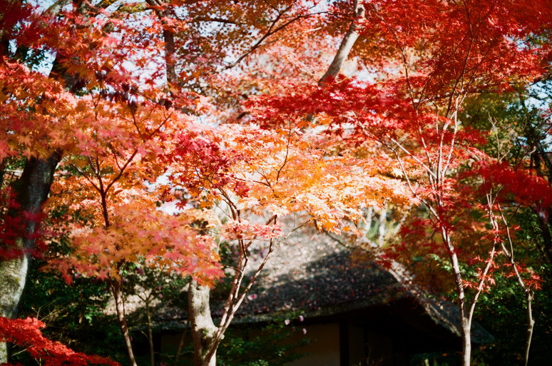 ２０１２　平林寺