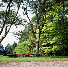 ２０１３．５　比叡山　延暦寺