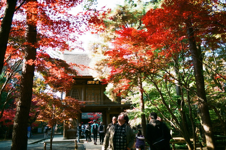 ２０１２　平林寺