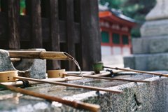 ２０１３　今宮神社