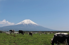 富士山最高～！！