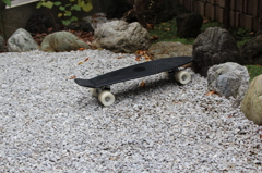 スケボーどう？