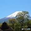 忍野八海からの富士山