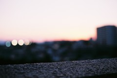 わざと。