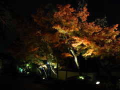 2013.11.17　永観堂