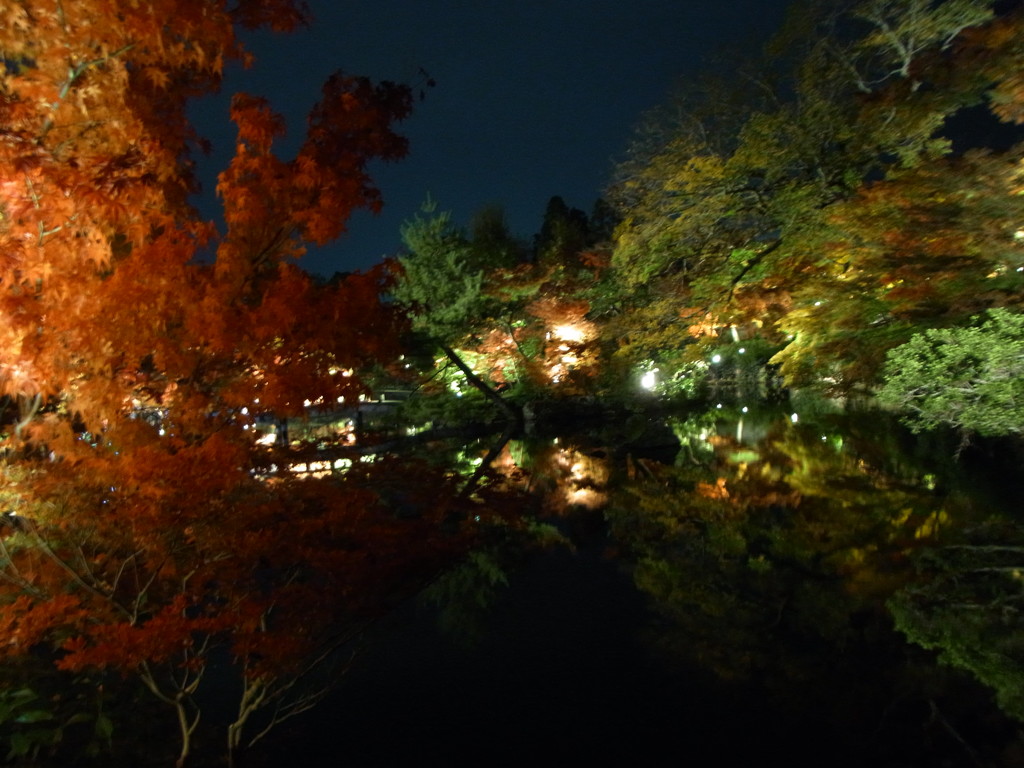 2013.11.17　永観堂