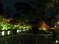2013.11.17　永観堂
