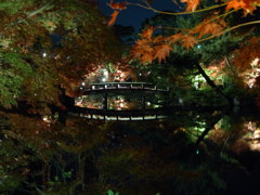 2013.11.17　永観堂