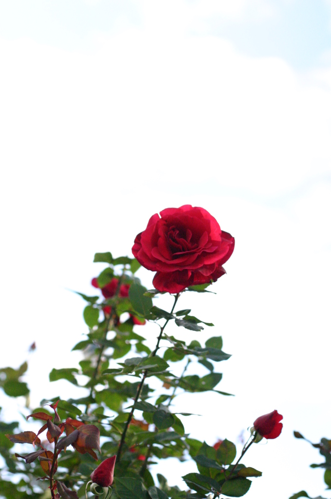 IMG_0146
