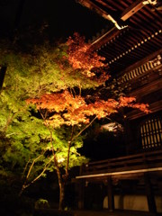 2013.11.17　永観堂