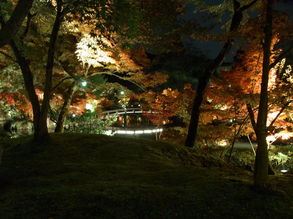 2013.11.17　永観堂