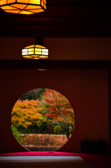 鎌倉　明月院