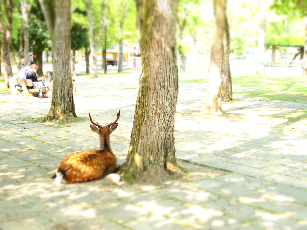 今日も暑いなぁ…☀