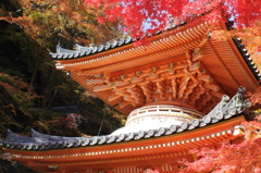 大威徳寺にて