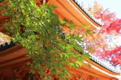 大威徳寺にて