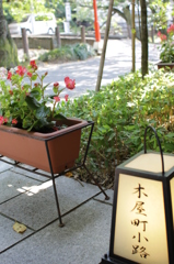城崎２