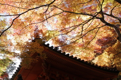 大威徳寺にて