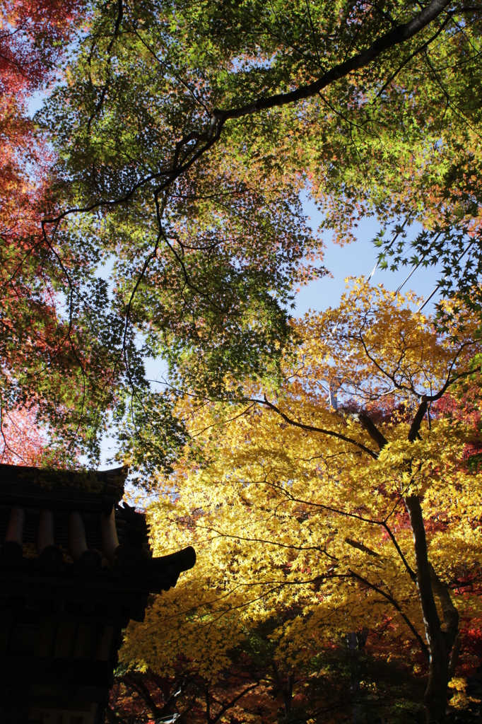 大威徳寺にて