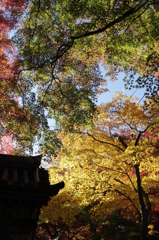 大威徳寺にて