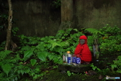 貝喰の池