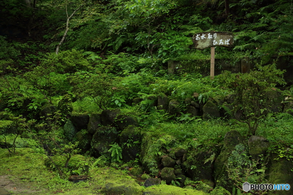 貝喰の池